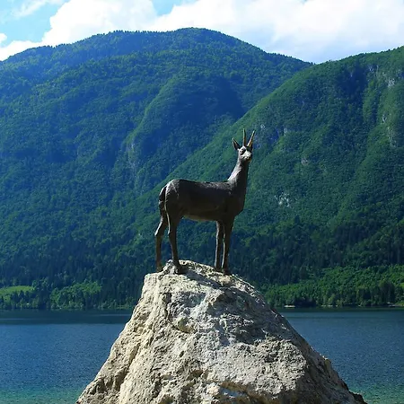 Zupancic 1 *