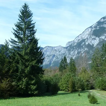 Zupancic 1